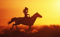 Koń galopujący na tle zachodzącego słońca